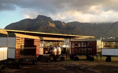 Spirit train set for AfrikaBurn